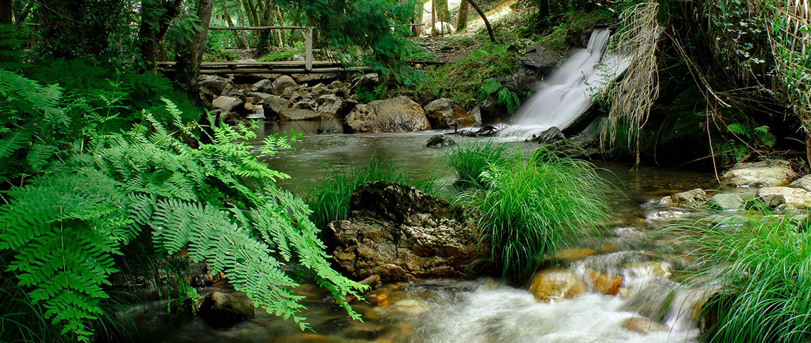Fragas de São Simão